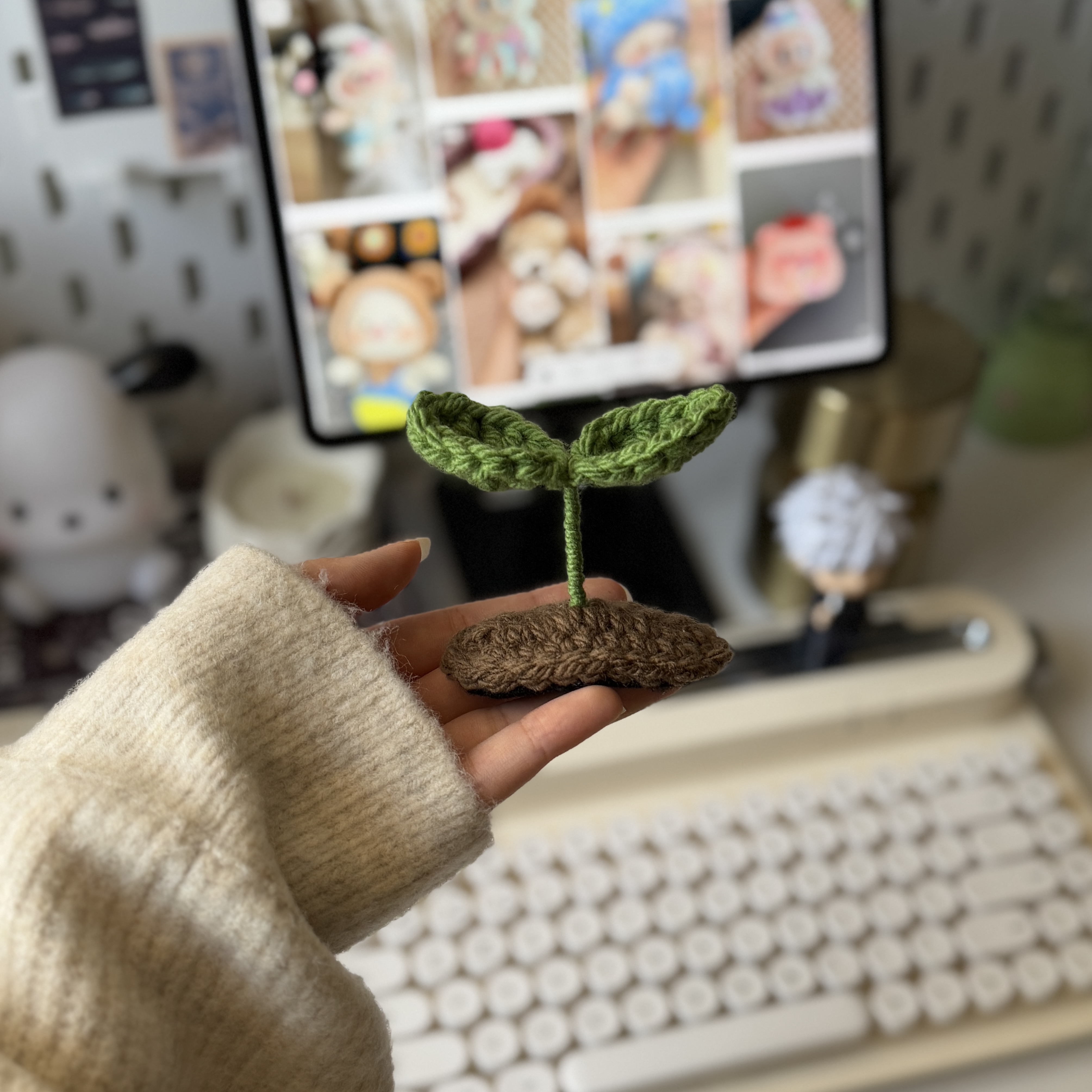 گیره جوونه و افتاب گردون🌻
